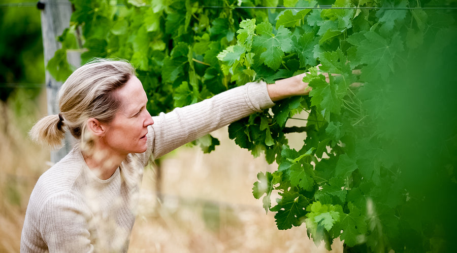 In the Vineyard with Lilian Carter, Oenologist (Australia & New Zealand)