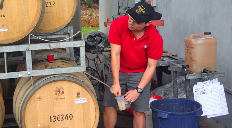 My Origin Story: How I Became A Winemaker